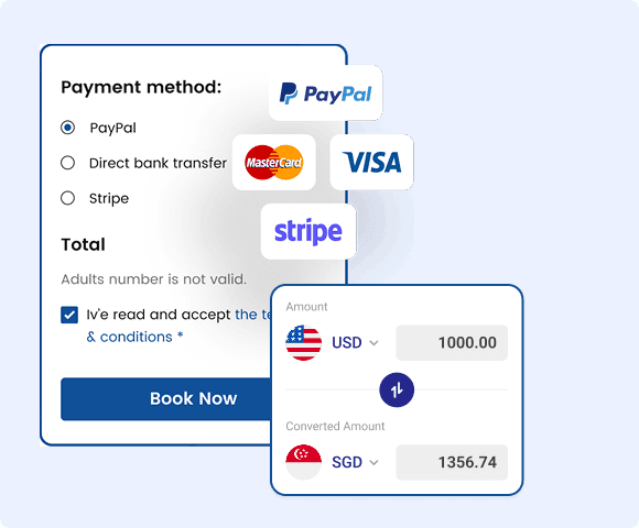 Online payment gateway interface and transaction processing hub